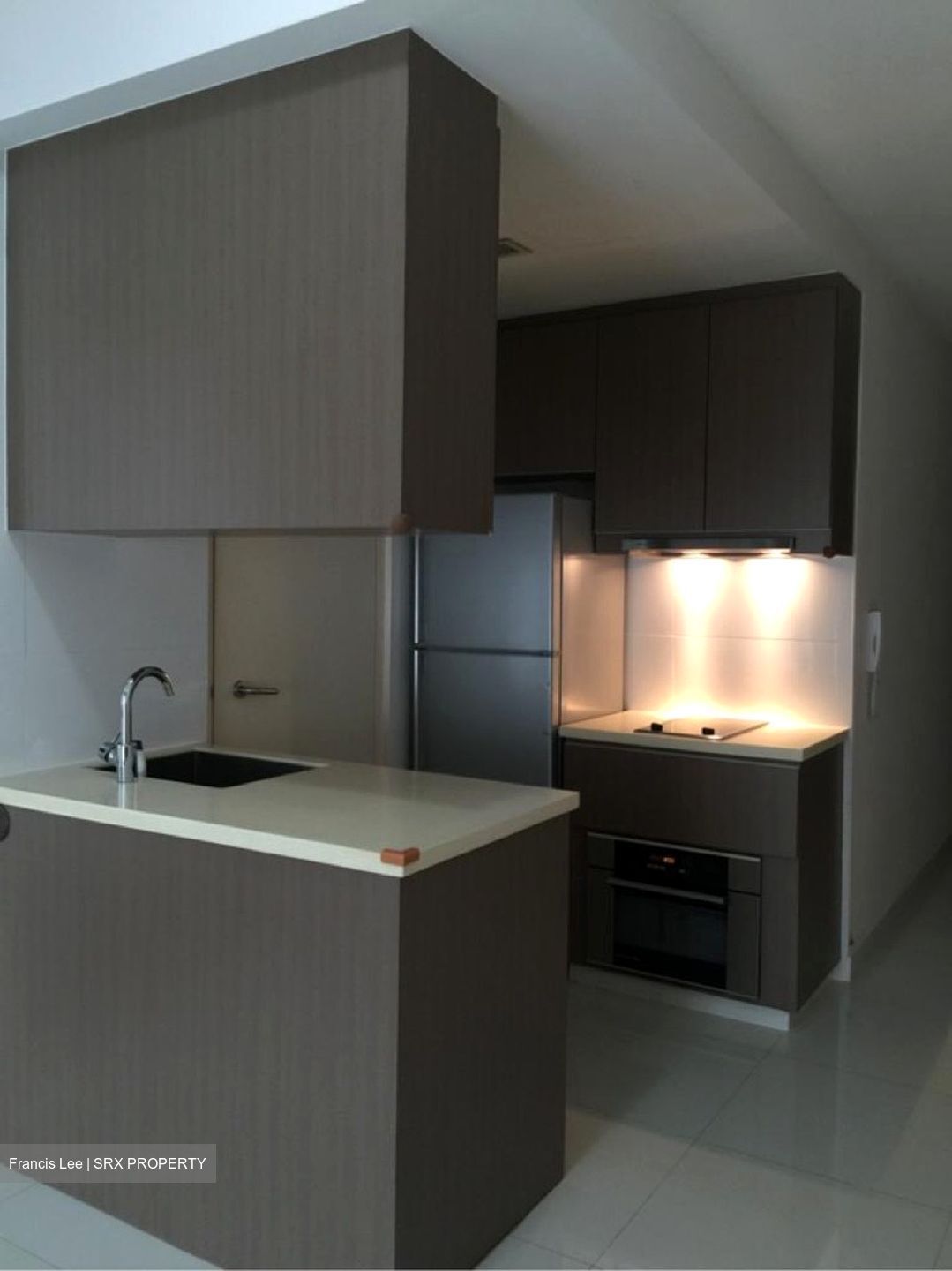 Mount Sophia Suites (D9), Apartment #580129261
